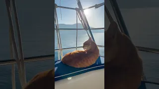 Its the most wonderful time of the year…October aka ‘little Greek summer’ #sailinglife #sailing