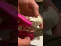 Our first ever egg cutting of our first clutch of ball python eggs