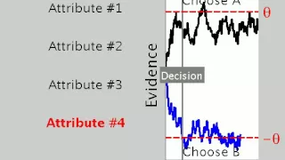 Simulation of the Decision Field Theory