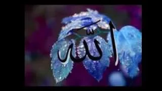 دعاء الانبياء للقارىء الطبيب صلاح الجمل 