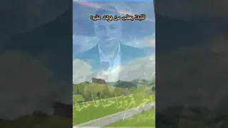 وإذا سألوك يوما  أين ملاذي  دندنها
