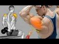 No Gym Needed 8 Rear Delt Exercises with Dumbell Only