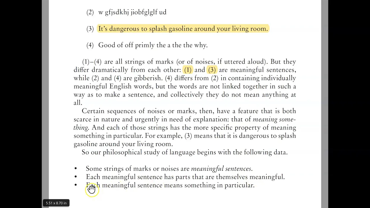 Philosophy Of Language INTRODUCTION