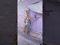 Download Lagu sindhi funny video