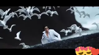 اغنية Gerua مترجمة Dilwale 