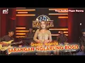 Download Lagu Shinta Arsinta - Sarangan Nglarung Roso | Dangdut (Official Music Video)