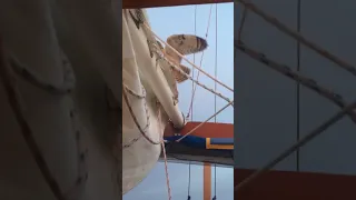500 miles from Africa and this guy hitches a ride after a night of storms