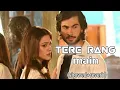 Download Lagu tere rang main - lofi || (slowed+reverb) || wajhi farooqi || life is music