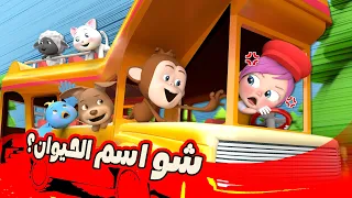 شو اسم الحيوان يا لولو | قناة وناسة لولو