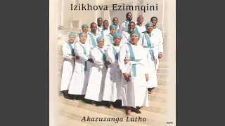 akazuzanga lutho