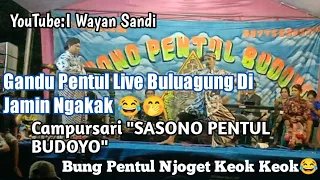 gandu pentul live buluagung campursari 