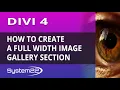 Divi 4 How To Create A Full Width Gallery Section