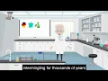 Where do ancestry DNA test results come from