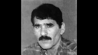 عبد الامير ادريس موال يردم علي كام الدهر كل يوم واغنية سوالف ماتت من سنين 