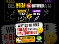 Why Spring Needs Bean Bean vs Autowired Explained in 2 minutes