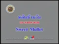 หลับข้ามวัน - Sweet Mullet