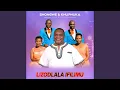 Download Lagu Lizodlala Ifilimu