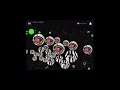 Agar io Mobile - Split running Compilation