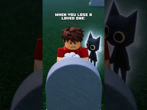 You Were Never Just a Cat 💔
