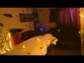Hawaiian Lomi Lomi Massage Room at Spa Heaven London