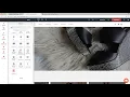 Text Animations Widget Tutorial by Without Code