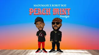 madumane x robot boii peach mint freestyle