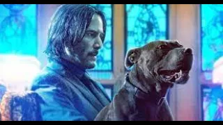قتل الف شخص من اجل كلبه و الذي قتله له شاب صغير في العمر Jhon Wick 