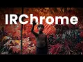 How Lord of the Flies Used Infrared to Shoot Day For Night