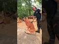 Download Lagu CHAINSAW CARVING DOG, BURNING DETAILS! 🔥 #fire #woodworking #chainsaw #carving #tools #dogs #art
