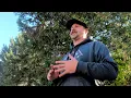 Illusion Systems Extinguisher Deer Call - Tips and Tricks