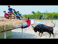 Download Lagu Very Special Trending Funny Comedy Video 2023😂Amazing Comedy Video 2023 Ep-194 By @beenfuntv