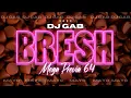 Download Lagu 🌺 BRESH 🌼 DJ GAB 🌺 MEGA PREVIA 64 🌼 2022