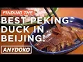 Download Lagu Finding the Best Peking Duck in Beijing! Featuring Da Dong, Liqun, Siji Minfu \u0026 More!