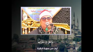 مقطع خيالى بكل المقاييس بصوت الشيخ أحمد عوض أبو فيوض من سورة البقرة 