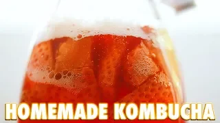 Beginners Guide to Kombucha Making | How to Make Kombucha at Home. 