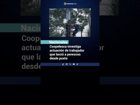 Coopelesca investiga actuación de trabajador que lanzó a perezoso desde poste