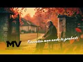 Download Lagu Manelele Viitorului - Tineretea mea unde te grabesti (Official Video)
