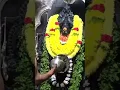 Download Lagu Sri Banashankari Amma Abhishekam Darshanam