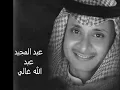 عبد المجيد غالي
