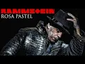 Download Lagu RAMMSTEIN: ROSA PASTEL | PARODIA