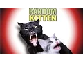 Talking Kitty Cat 43 - Random Kitten