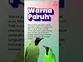 Download Lagu Cara Pilih Cucak Ijo Banyuwangi Mental Juara! Pemula Wajib Tau!