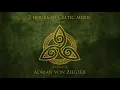 Download Lagu 2 Hours of Celtic Music by Adrian von Ziegler (Part 3/3)