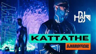 Download DJ Hari - Kattathe | Tik Tok Trending Mix | 2023 MP3