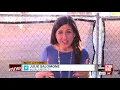 Matted dirty Havanese mixes rescued from hoarding situation in Temple Terrace