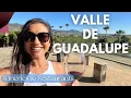 Download Lagu Watch before going to Valle de Guadalupe for important information about wineries and restaurants!🇲🇽