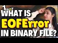 What is EOFError in Binary File Confusion