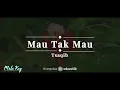 Mau Tak Mau – Tsaqib | KARAOKE AKUSTIK - MALE KEY