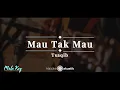 Download Lagu Mau Tak Mau – Tsaqib | KARAOKE AKUSTIK - MALE KEY