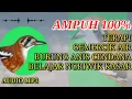 Download Lagu TERAPI ANIS CENDANA BELAJAR NGRIWIK DENGAN GEMERCIK AIR DOWNLOAD MP3
